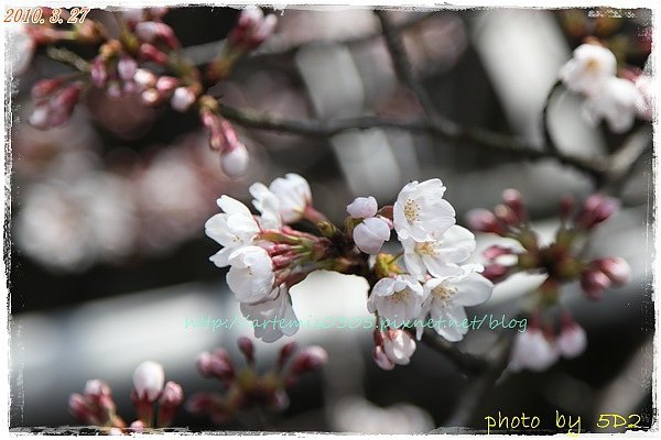 1...IMG_1560.jpg