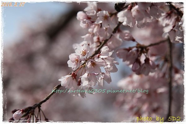 1...IMG_1566.jpg