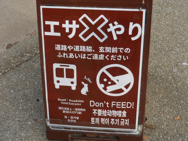 DSCN1258.JPG