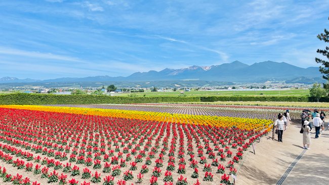 北海道-2024奧爾員工旅遊遊記