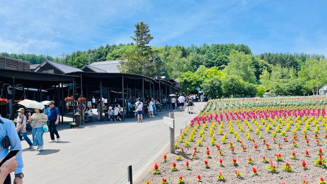 北海道-2024奧爾員工旅遊遊記