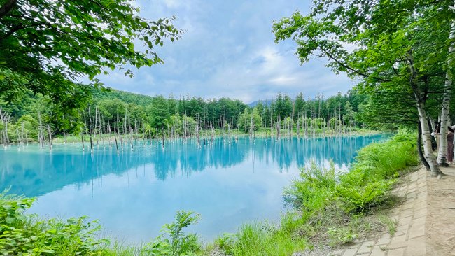北海道-2024奧爾員工旅遊遊記