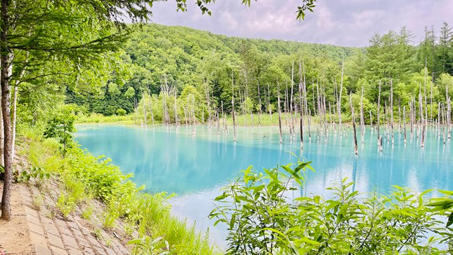 北海道-2024奧爾員工旅遊遊記