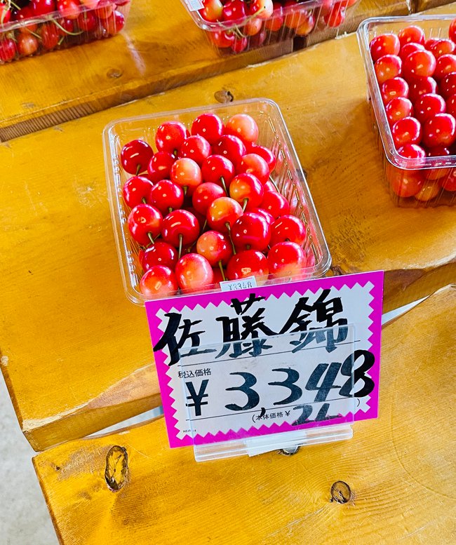 北海道-2024奧爾員工旅遊遊記