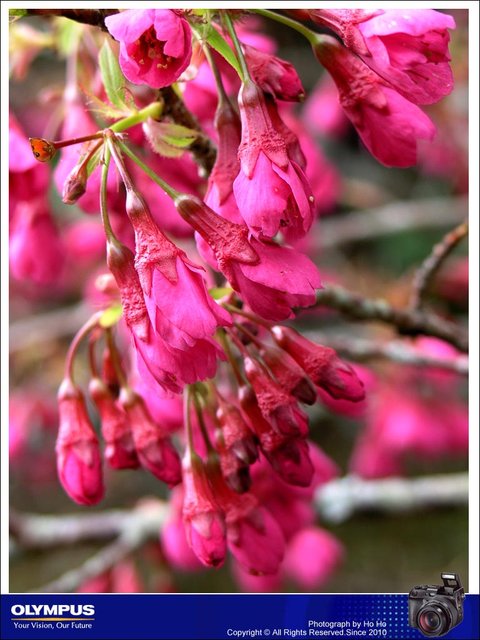 20080315002.jpg
