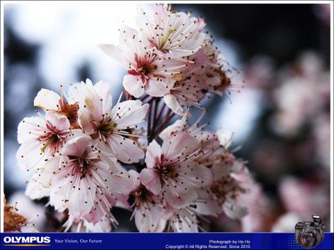 20080315009.jpg