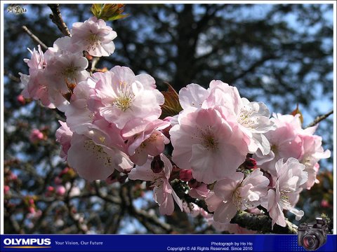 20070401014.jpg