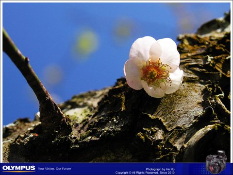 20080106007.jpg