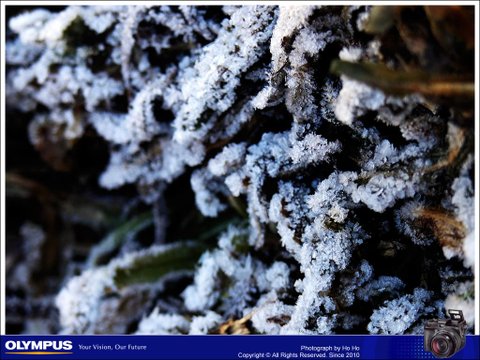 20071208007.jpg