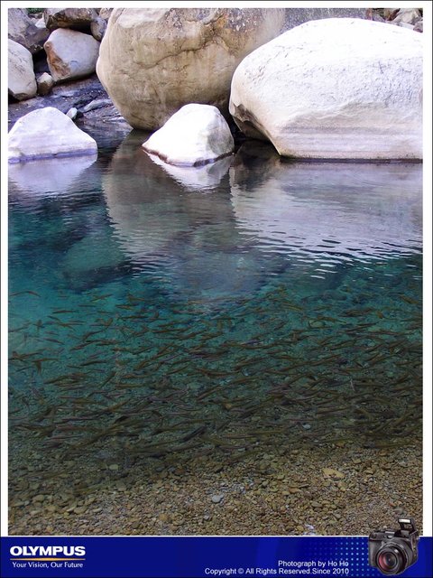 20080112006.jpg