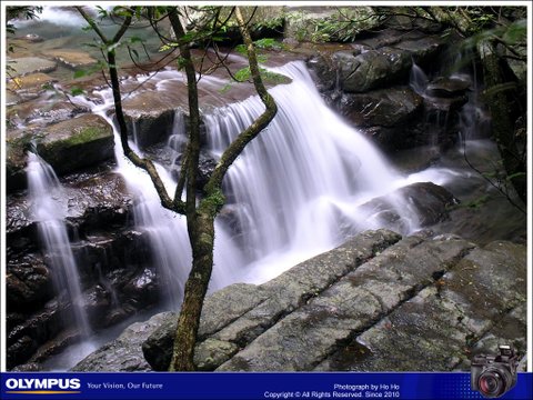 20081025006.jpg