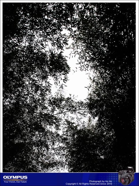 20080211007.jpg