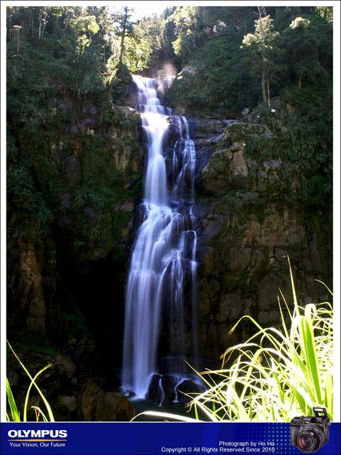 20080824006.jpg