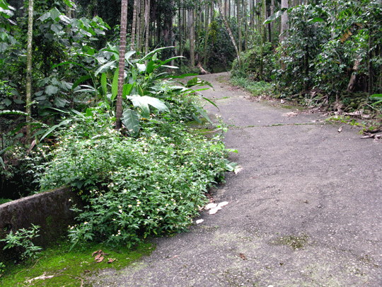 華山咖啡--汗路步道.gif