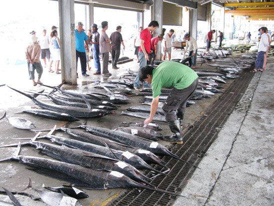 A-007-批魚.jpg