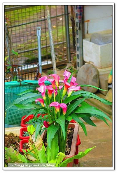 2015-02-01-07