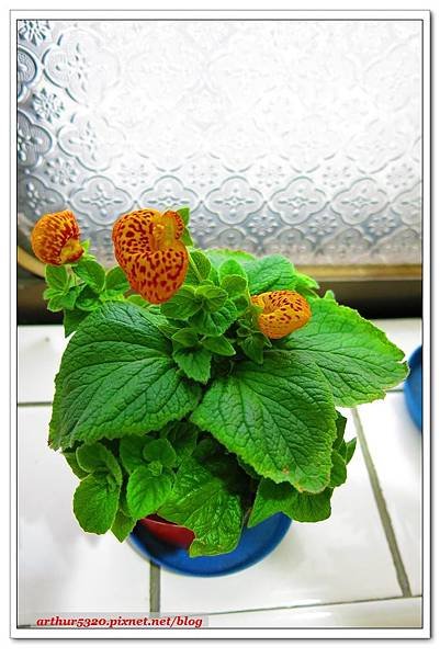 2015-05-03-10