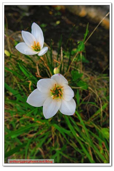 2015-05-30-43