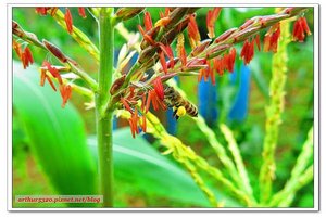 2015-06-01-08