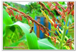 2015-06-01-09