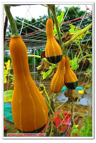 2015-06-01-25