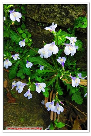 2016-04-03-27