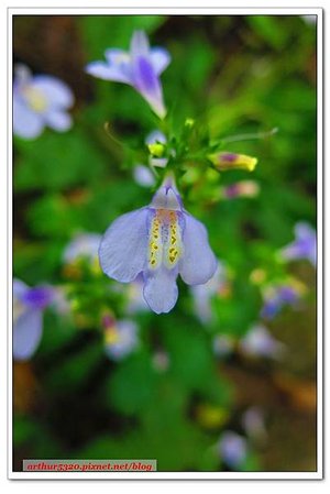 2016-04-03-28