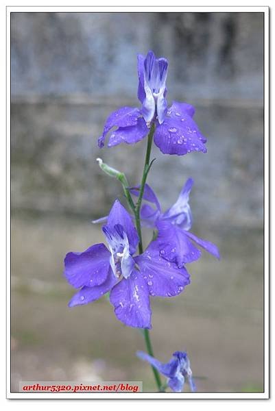 2016-04-30-134