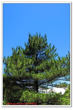 2016-07-15-049