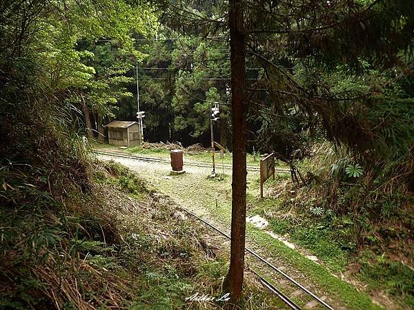 2024 阿里山林鐵 ~ 眠月線