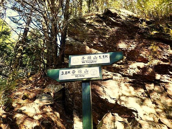 2025 羊頭山