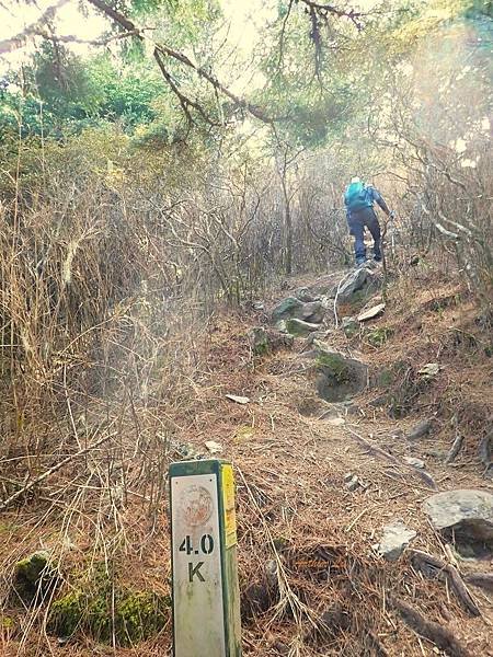 2025 羊頭山