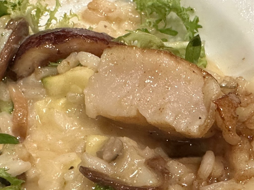 [高雄] MINIBBON 奢華法式小酒館 一訪