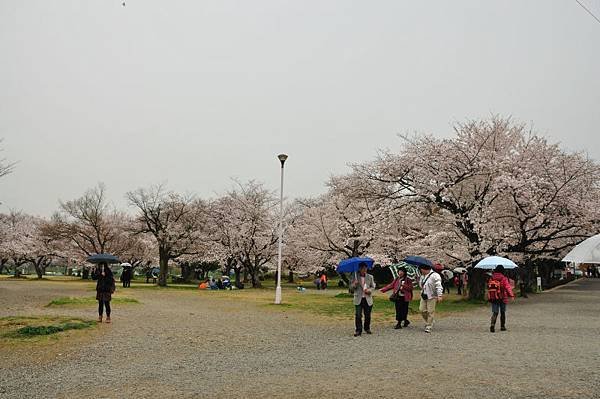 嵐山32.JPG
