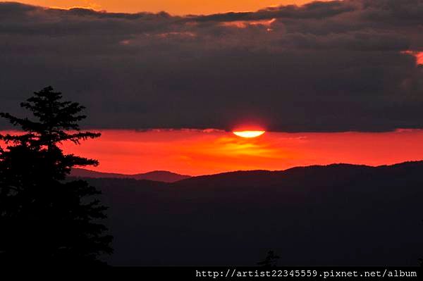 _DSC8192