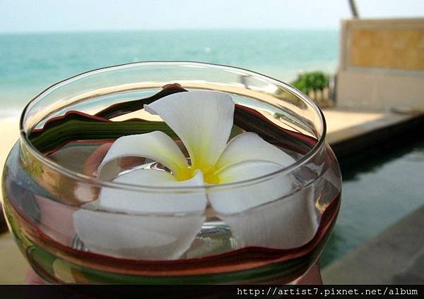 20071124 samui 461 (800x565).jpg