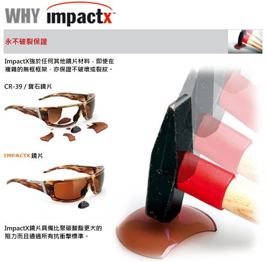 rudy-impactX01.jpg