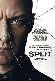 Split_2017_Poster.jpg