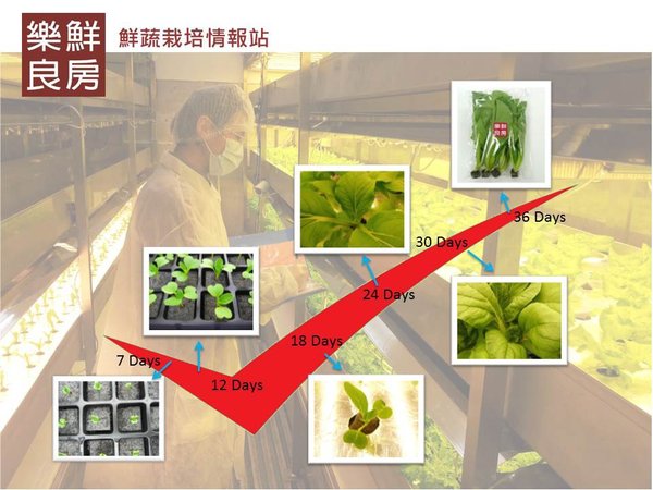 投影片3