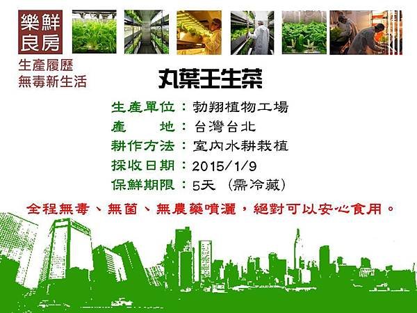 丸葉壬生菜