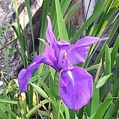 20131205_150504.jpg