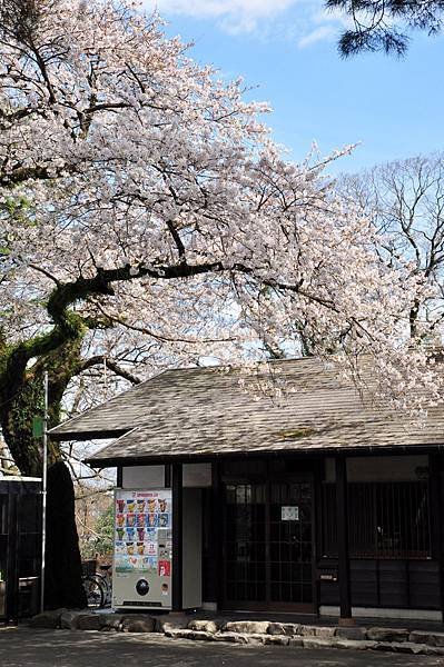 0DSC_3649.jpg