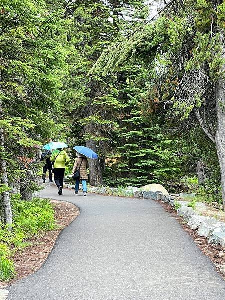 美西-傑克森霍爾小鎮Jackson Hole . 大堤頓國家