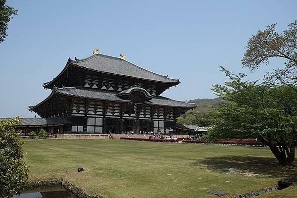 DSCF0736