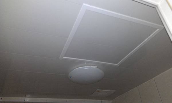 IMAG0250