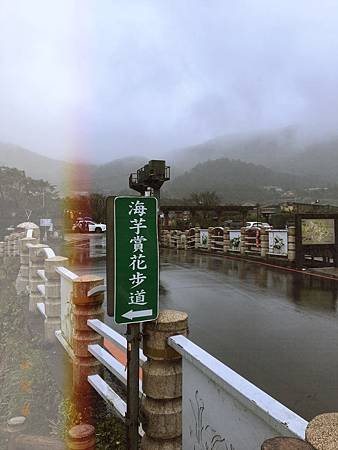IMG-8223.jpg