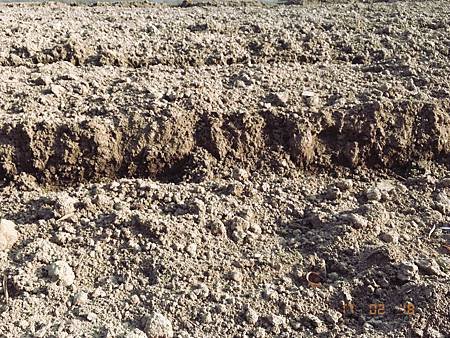 IMG-8428.jpg