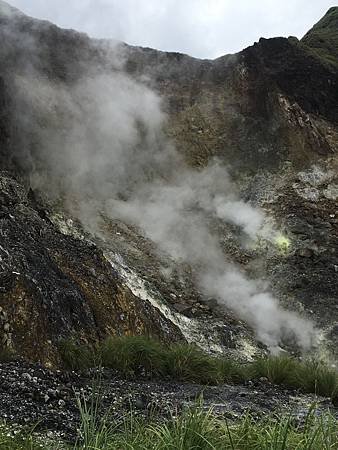 IMG_2826.jpg
