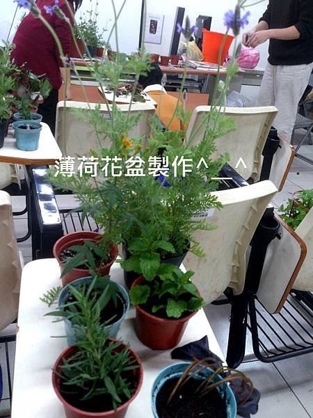 都是自己種的 :)