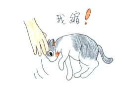 捏捏踏踏-12